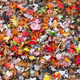 Illustration for article titled 76 Stunning Photos Of Fall Leaves